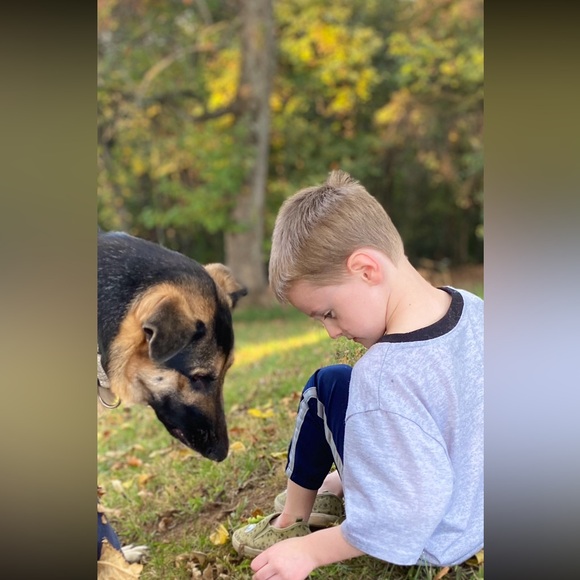 Share show! Share what you like - Picture 6 of 16